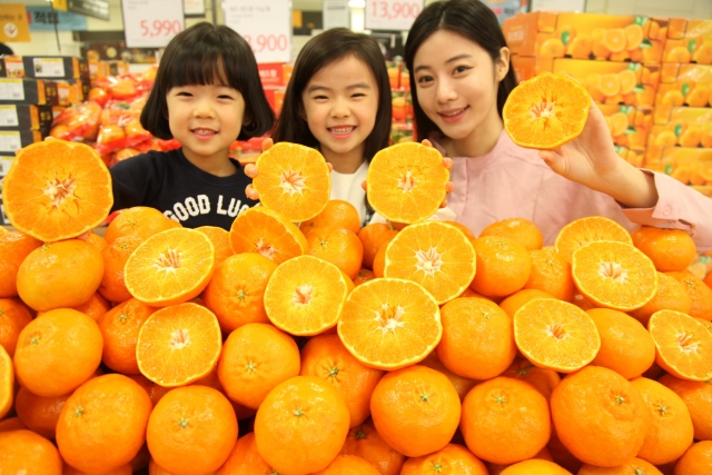 이마트레드향_01.jpg