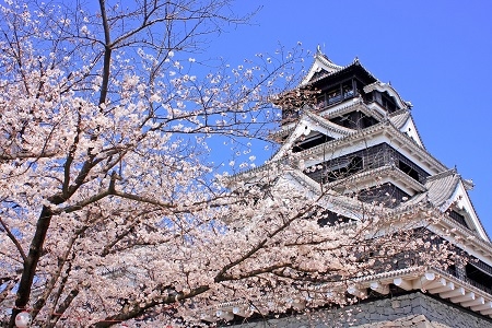 [여행박사] 후쿠오카 구마모토성 02.jpg